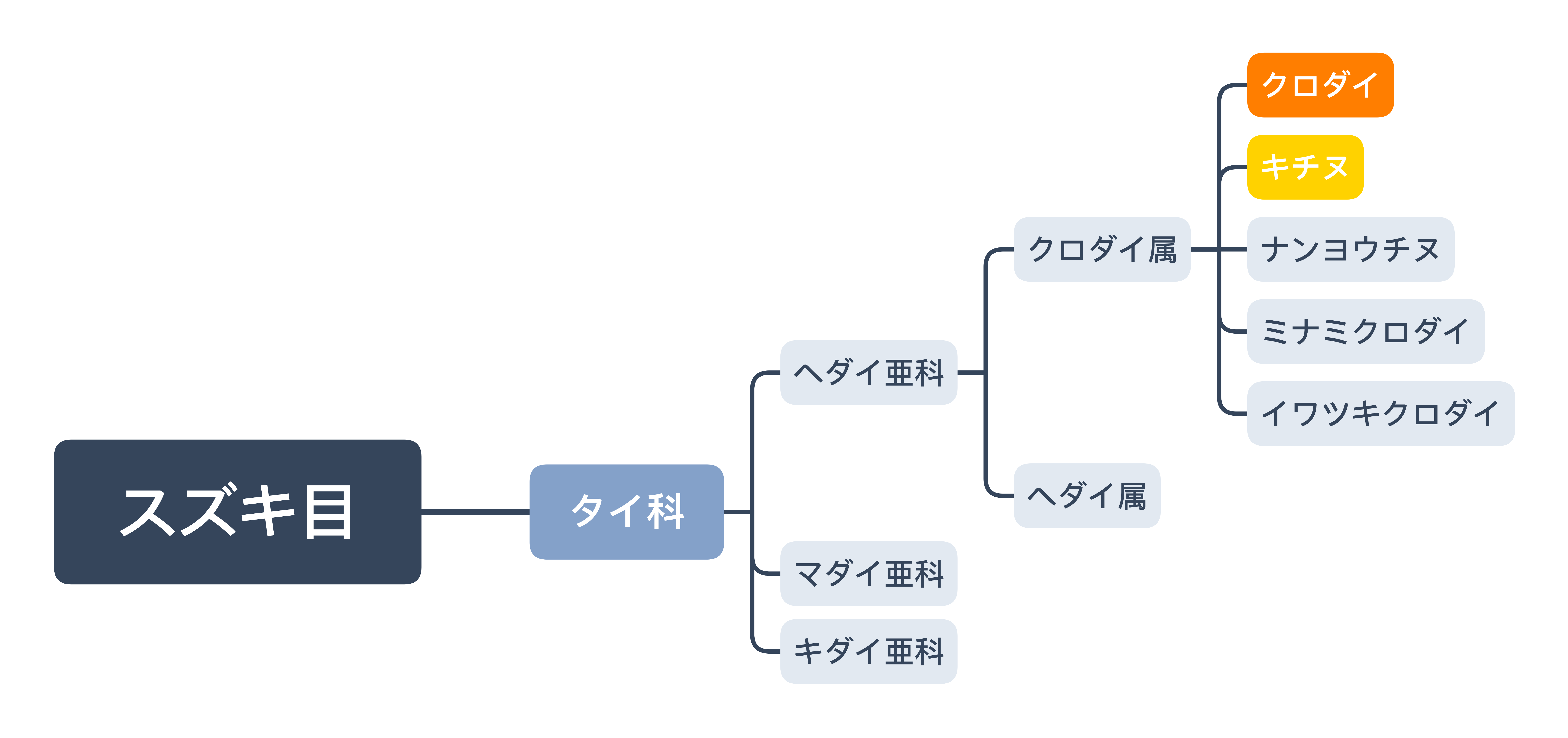 チヌの生態まとめ 釣り人向け 知恵でチヌを釣る